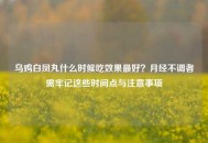 乌鸡白凤丸什么时候吃效果更好？月经不调者需牢记这些时间点与注意事项