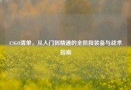 CSGO清单，从入门到精通的全阶段装备与战术指南