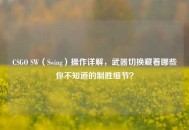 CSGO SW（Swing）操作详解，武器切换藏着哪些你不知道的制胜细节？