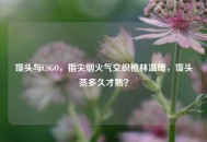 馒头与CSGO，指尖烟火气交织枪林温暖，馒头蒸多久才熟？