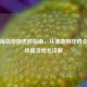 PUBG海岛地图进阶指南，从落地到吃鸡全流程攻略及地名详解