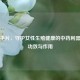 宫炎平片，守护女性生殖健康的中药利器及其功效与作用
