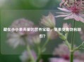 藏在小小果壳里的营养宝藏，坚果类食物有哪些？