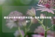 藏在小小果壳里的营养宝藏，坚果类食物有哪些？
