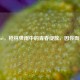 CF Girl，枪林弹雨中的青春绽放，因你而美丽
