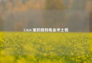 CSGO 里的独特炼金术士荀彧