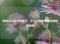 职业CSGO选手的桌子，方寸之间藏着赛场制胜的秘密