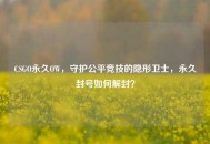 CSGO永久OW，守护公平竞技的隐形卫士，永久封号如何解封？