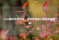 CSGO廉价贴纸指南，低预算也能让武器颜值拉满