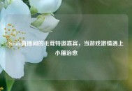 Steam直播间的毛茸特邀嘉宾，当游戏***遇上小猫治愈