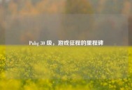 Pubg 30 级，游戏征程的里程碑