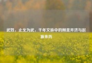武姓，止戈为武，千年文脉中的刚柔并济与起源来历