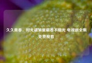 久久青春，时光褶皱里藏着不熄光 电视剧全集免费观看