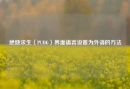 绝地求生（PUBG）界面语言设置为外语的 *** 