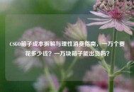 CSGO箱子成本拆解与理性消费指南，一万个要花多少钱？一万块箱子能出货吗？