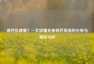 淋巴在哪里？一文读懂全身淋巴系统的分布与隐形守护
