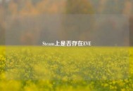 Steam上是否存在EVE