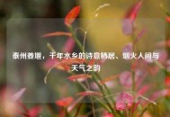泰州姜堰，千年水乡的诗意栖居、烟火人间与天气之韵