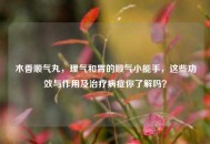 木香顺气丸，理气和胃的顺气小能手，这些功效与作用及治疗病症你了解吗？