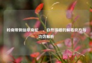 岭南带刺仙草南蛇簕，自然馈赠的解毒良方与功效解析