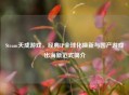 Steam天成游戏，经典IP全球化焕新与国产游戏出海新范式简介