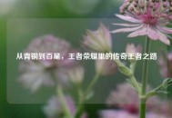 从青铜到百星，王者荣耀里的传奇王者之路