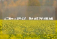 土耳其Steam夏季促销，低价盛宴下的理性选择