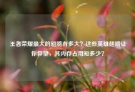 王者荣耀更大的翅膀有多大？这些英雄翅膀让你仰望，其内存占用知多少？