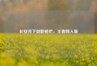 长安月下剑影枪芒，王者同人版