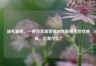 绒毛膜癌，一种罕见需警惕的妊娠相关恶性肿瘤，它是什么？