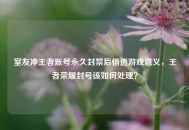 室友冲王者账号永久封禁后悟透游戏意义，王者荣耀封号该如何处理？