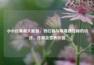 小小红果藏大能量，西红柿与草莓西红柿的功效、作用及营养价值