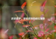逆战露伊，穿梭战场的绯红魅影