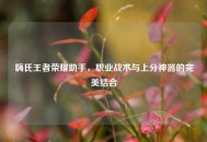 嗨氏王者荣耀助手，职业战术与上分神器的完美结合