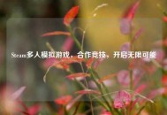 Steam多人模拟游戏，合作竞技，开启无限可能