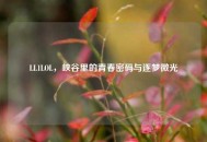 LL1LOL，峡谷里的青春密码与逐梦微光