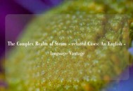 The Complex Realm of Steam - related Cases: An English - language Vantage