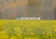 Steam蒸汽禁令探寻之路