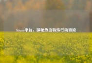 Steam平台，探秘热血特殊行动冒险