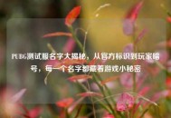 PUBG测试服名字大揭秘，从官方标识到玩家暗号，每一个名字都藏着游戏小秘密