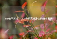 SRP公平算法，CSGO守护竞技净土的技术密码