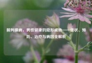 前列腺病，男性健康的隐形威胁——症状、预防、治疗与病因全解析