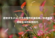 绝地求生(PUBG)文件完整性检查指南，快速解决游戏异常的实用技巧