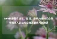 CSGO举报蓝色提示，原因、影响与应对指南及举报他人封禁后自身无蓝信问题解答