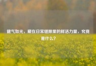 健气如光，藏在日常缝隙里的鲜活力量，究竟是什么？