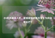小S的天蝎座人生，敢爱敢恨的毒舌女王为何自带光芒？