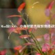 Mac Mini玩CSGO，小身材能否驾驭竞技战场？