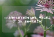 Steam上那些欲罢不能的单机神作，从独立精品到3A巨制，总有一款适合你