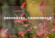 室颤急救措施全解析，关键时刻如何挽救生命