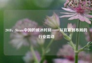 2018，Steam中国的破冰时刻——从官宣到布局的行业震动